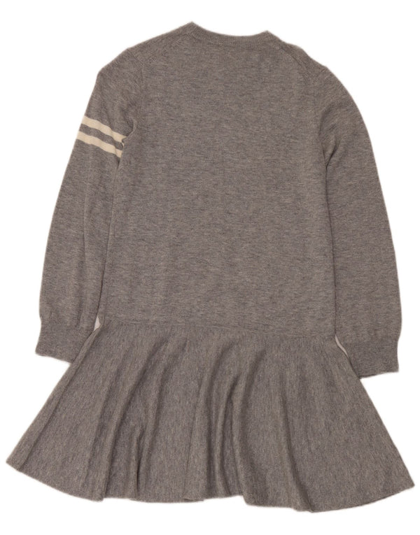 Polo Ralph Lauren Girls Graphic Jumper Dress 15-16 Years XL Grey