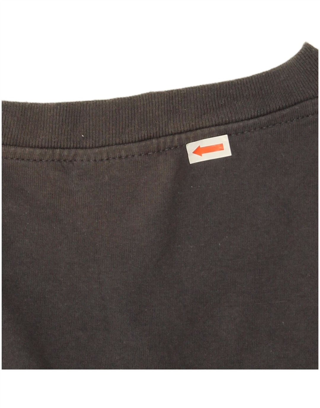 Champion Mens T-Shirt Top XL Grey