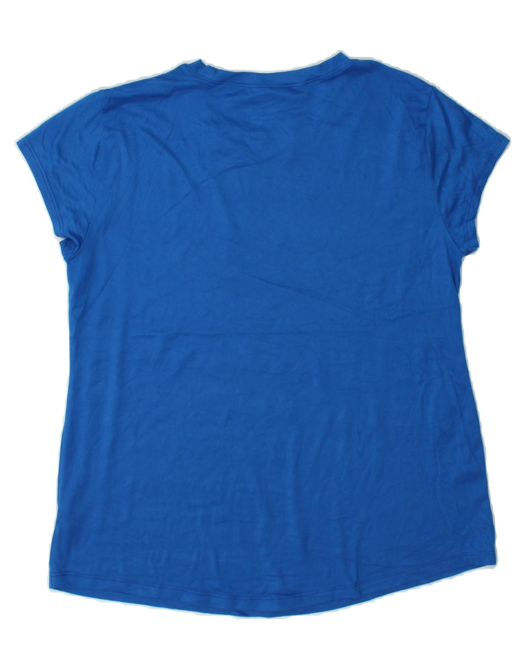 CHAMPION Womens T-Shirt Top UK 18 XL Blue Polyester Vintage Champion and Second-Hand Champion from Messina Hembry 