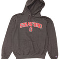 Champion Mens Stanford Graphic Hoodie Jumper Medium Grey Cotton