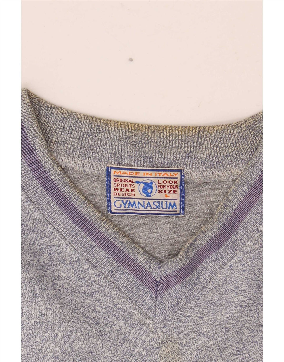 Gymnasium Mens Graphic Sweatshirt Jumper Large Blue Colourblock