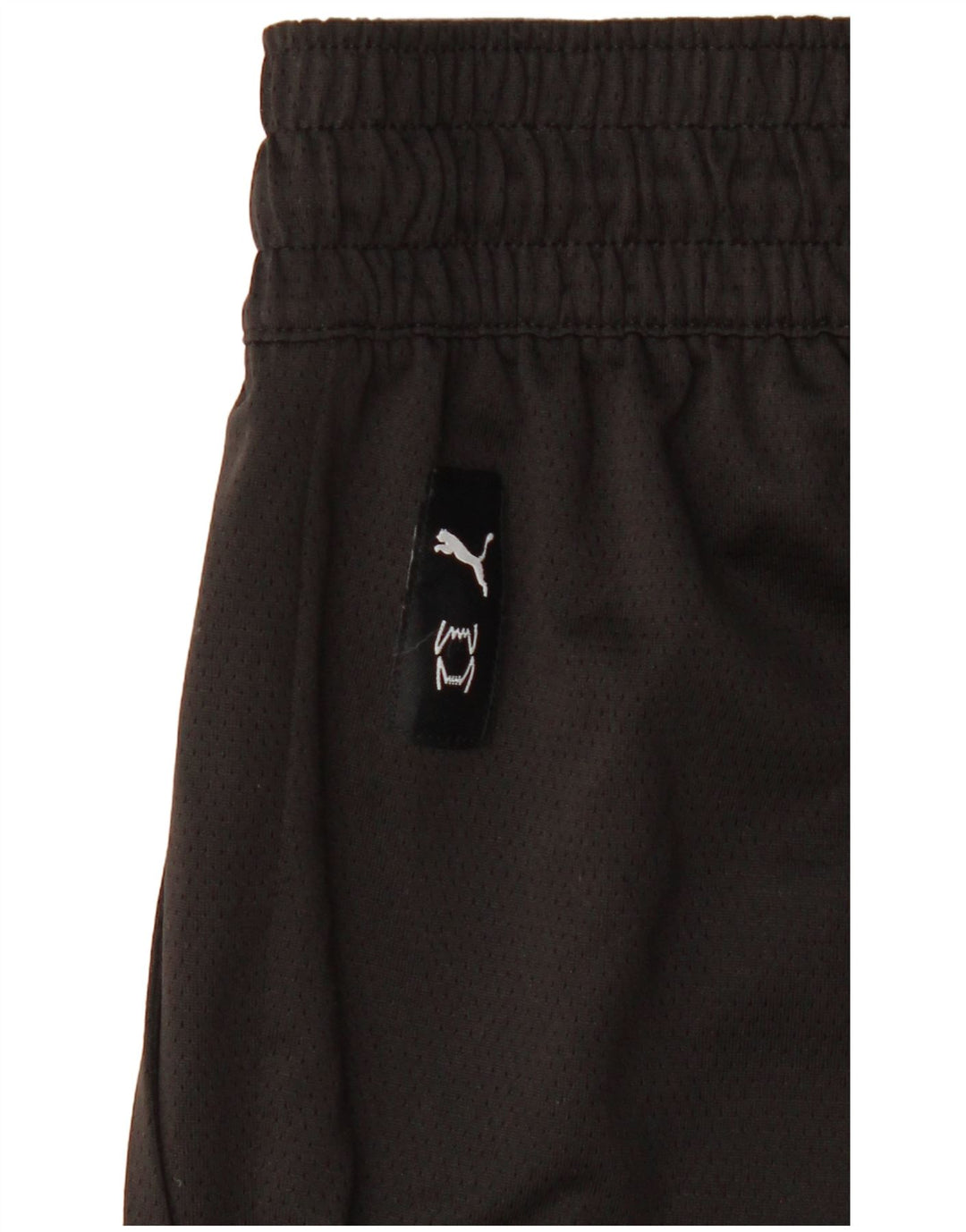 Puma Mens Sport Shorts Large Black
