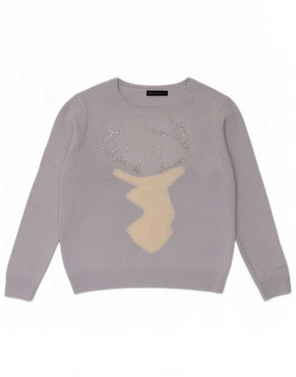 Marks & Spencer Womens Graphic Crew Neck Jumper Sweater UK 16 Large Blue