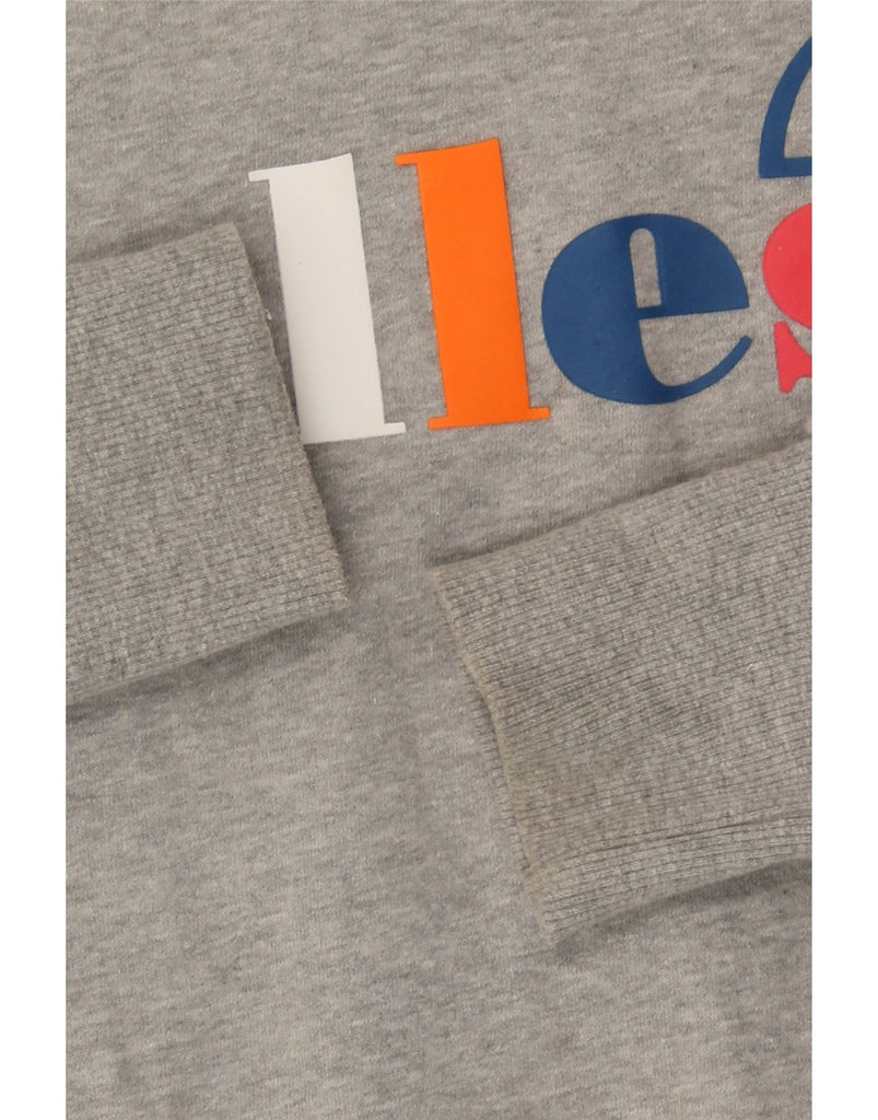 ELLESSE Womens Crop Graphic Hoodie Jumper UK 12 Medium Grey Cotton Vintage Ellesse and Second-Hand Ellesse from Messina Hembry 