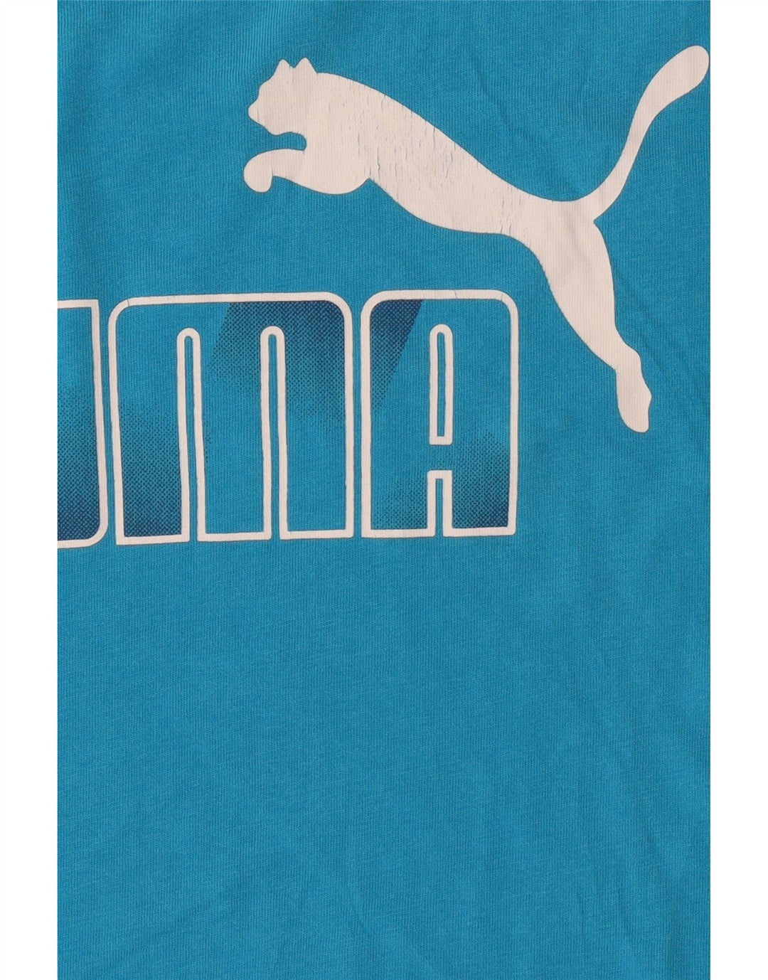 PUMA Mens Graphic T-Shirt Top Small Blue