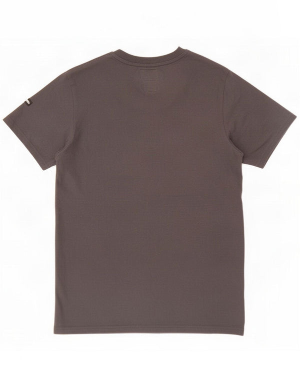 Superdry Mens Graphic T-Shirt Top Medium Grey Cotton