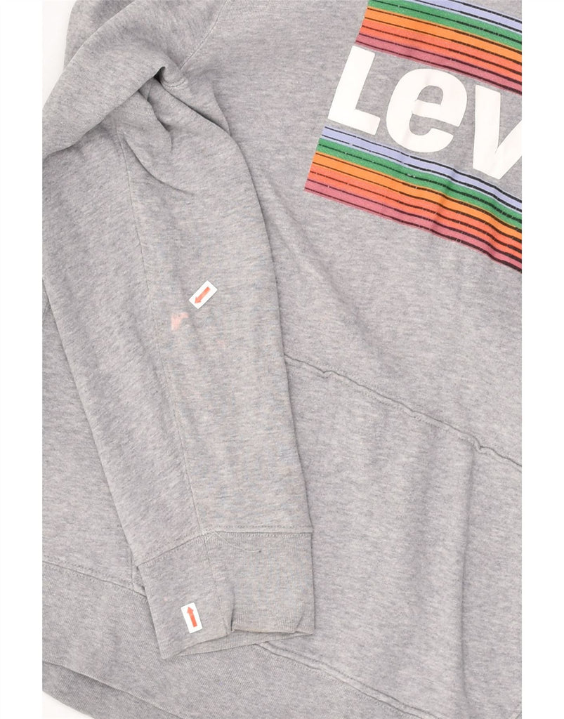 LEVI'S Mens Graphic Hoodie Jumper Medium Grey Cotton | Vintage Levi's | Thrift | Second-Hand Levi's | Used Clothing | Messina Hembry 