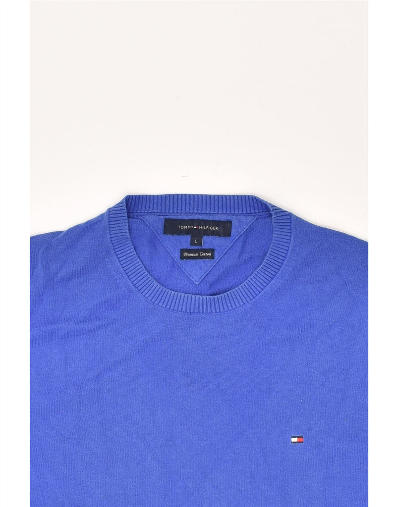 TOMMY HILFIGER Mens Crew Neck Jumper Sweater Large Blue Cotton | Vintage Tommy Hilfiger | Thrift | Second-Hand Tommy Hilfiger | Used Clothing | Messina Hembry 