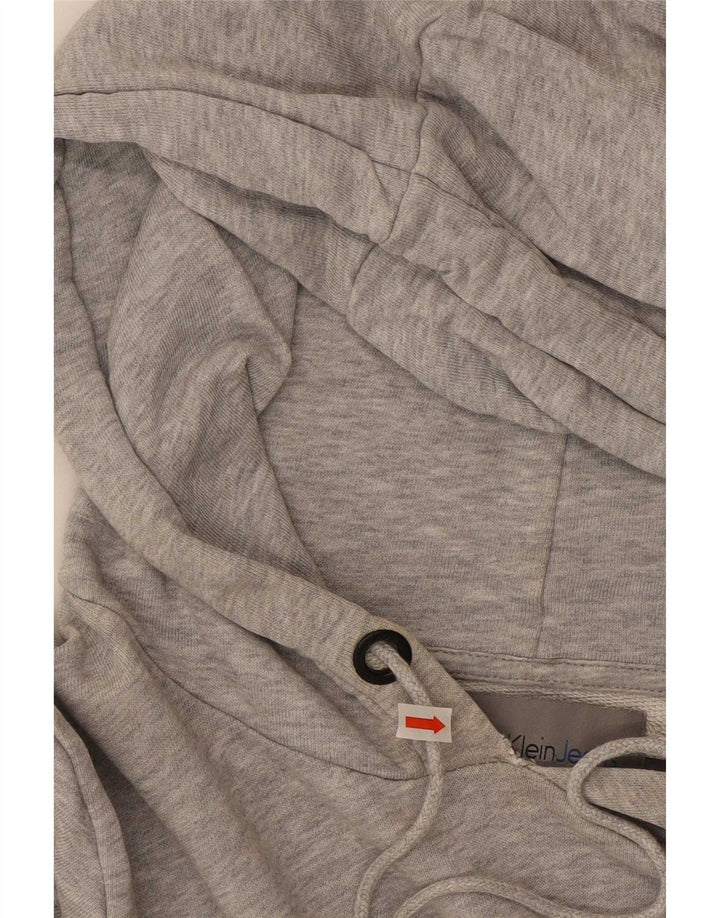 Calvin Klein Jeans Mens Graphic Hoodie Jumper Medium Grey Colourblock