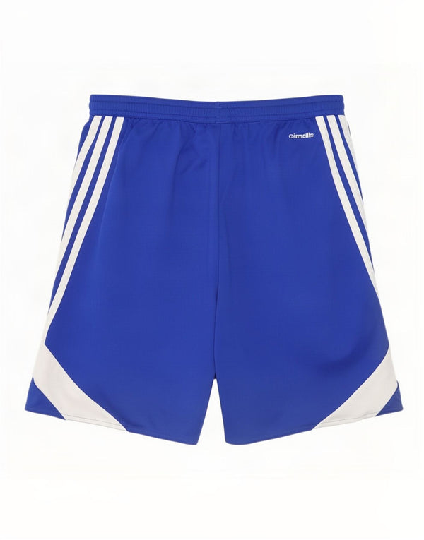 Adidas Mens Climalite Sport Shorts Medium Blue Colourblock Polyester