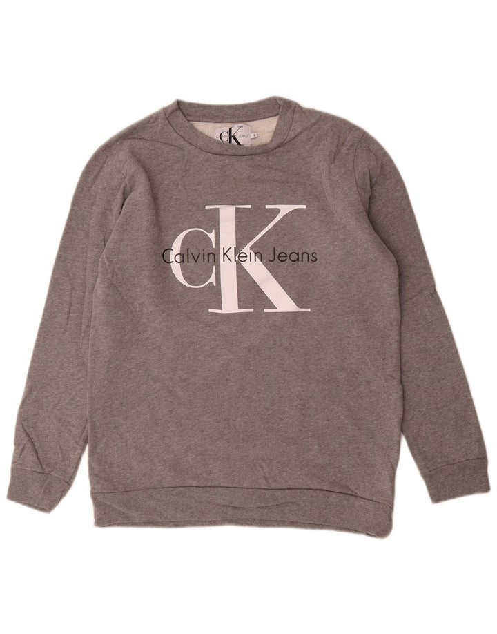 CALVIN KLEIN JEANS Mens Graphic Sweatshirt Jumper Small Grey Cotton