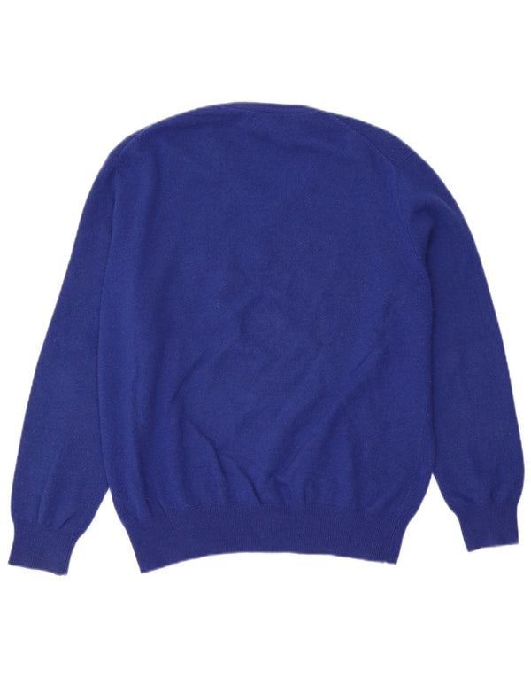 Polo Ralph Lauren Mens V-Neck Jumper Sweater Large Blue