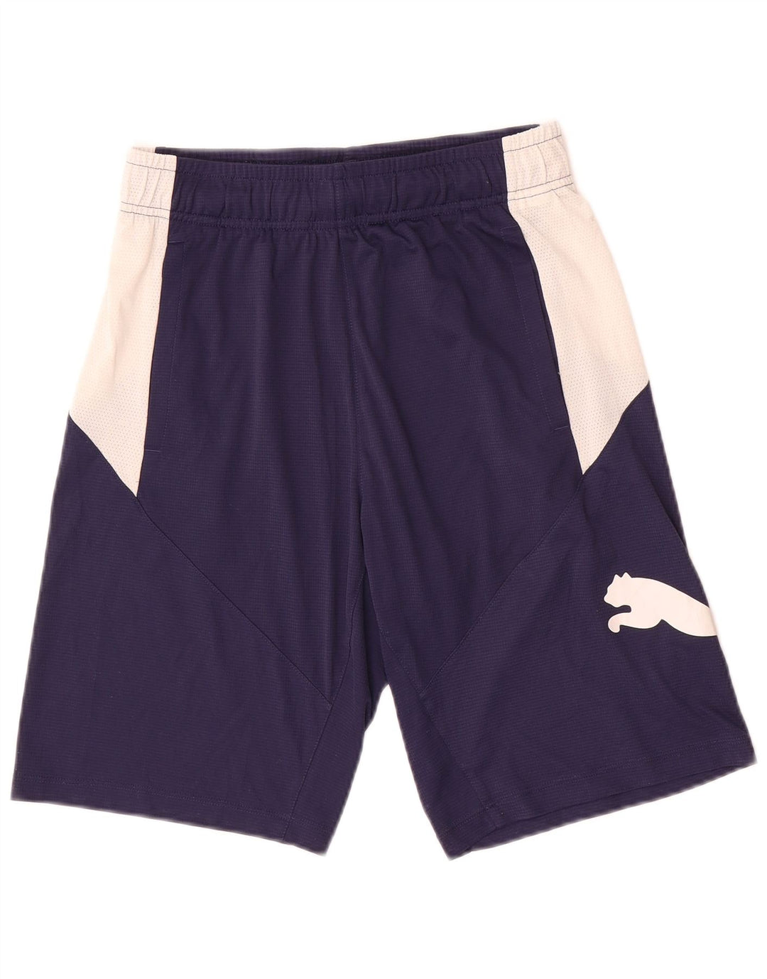 Puma Mens Graphic Sport Shorts Small  Navy Blue Colourblock