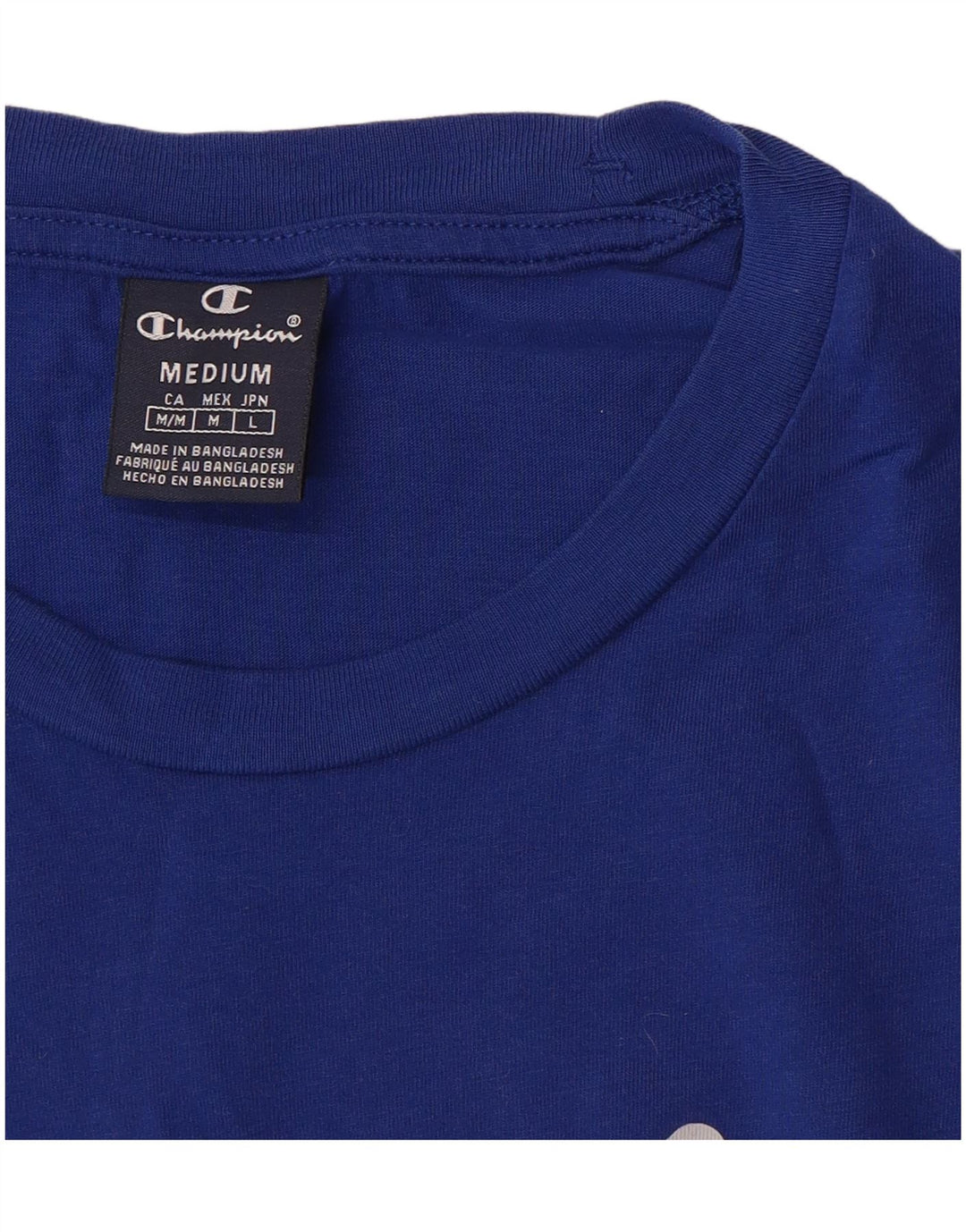Champion Mens Graphic T-Shirt Top Medium Blue Cotton