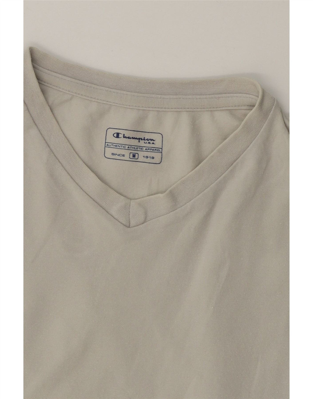 CHAMPION Mens T-Shirt Top Medium Grey Vintage Champion and Second-Hand Champion from Messina Hembry 
