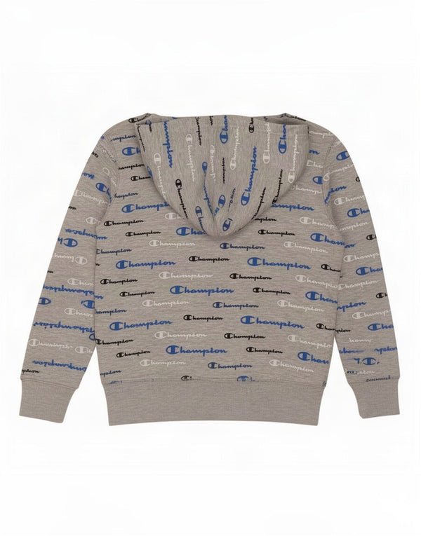 Champion Boys Graphic Hoodie Jumper 7-8 Years Small Grey Cotton