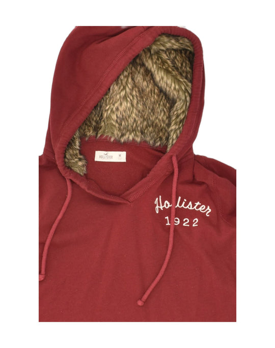 Hollister best sale jumper womens