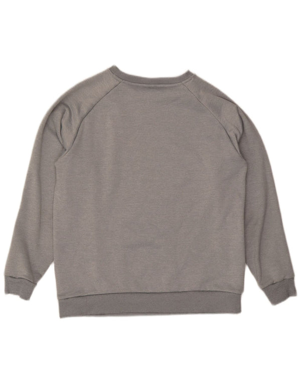 TOMMY HILFIGER Mens Graphic Sweatshirt Jumper Small Grey Colourblock