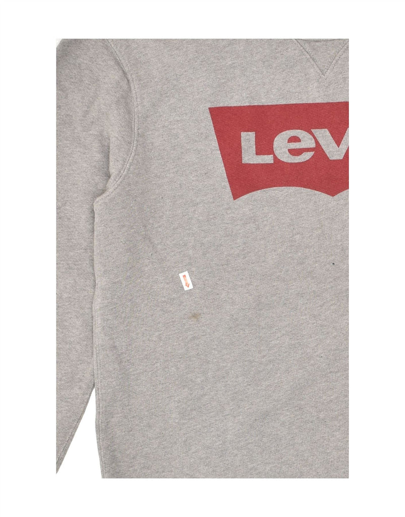 LEVI'S Mens Graphic Sweatshirt Jumper Large Grey Cotton | Vintage Levi's | Thrift | Second-Hand Levi's | Used Clothing | Messina Hembry 