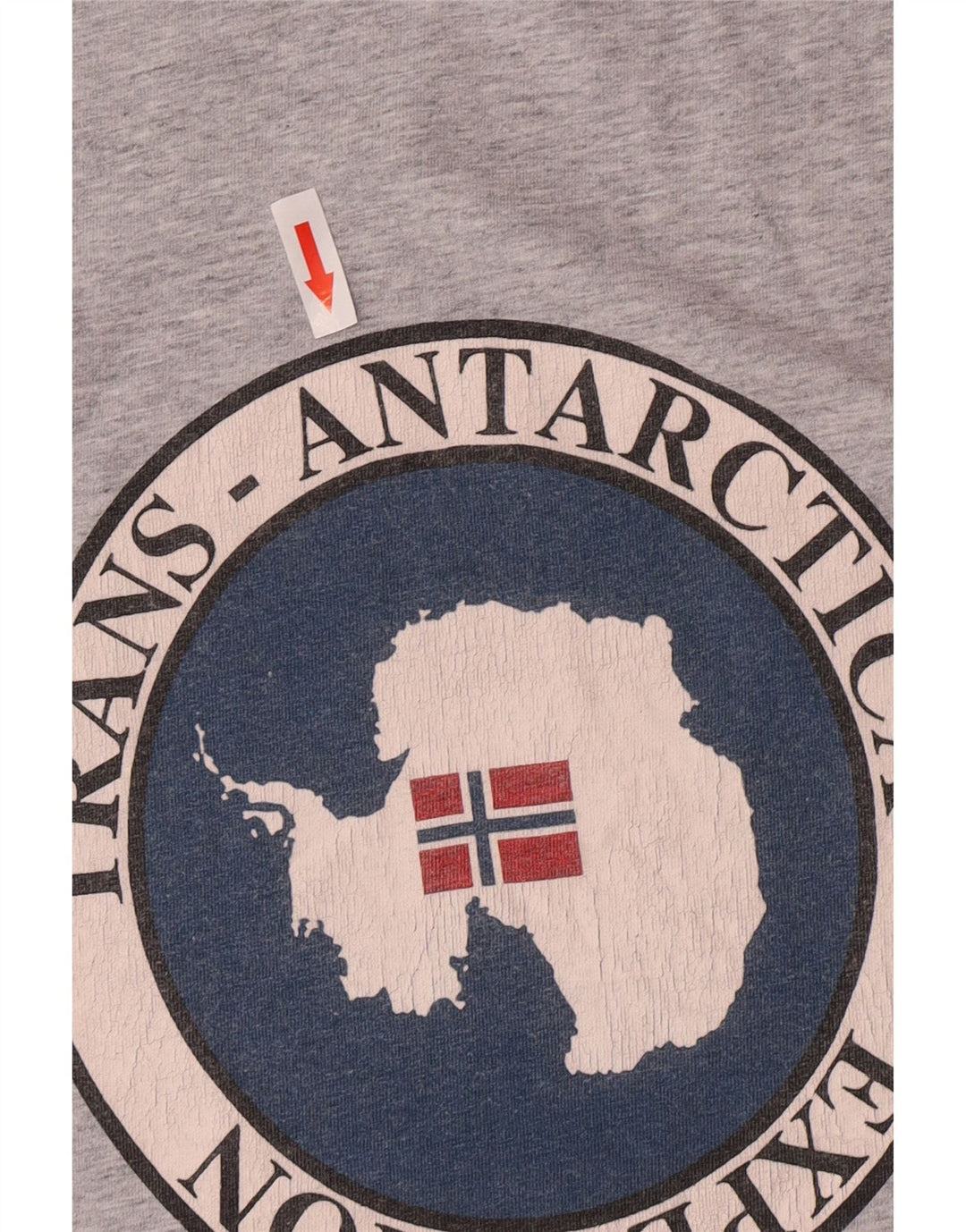 Napapijri Mens Graphic T-Shirt Top Medium Grey Cotton