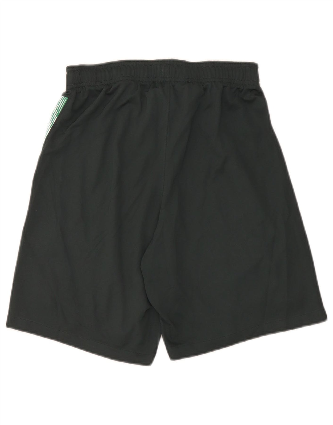 Nike Mens Dri Fit Sport Shorts Small Green Polyester