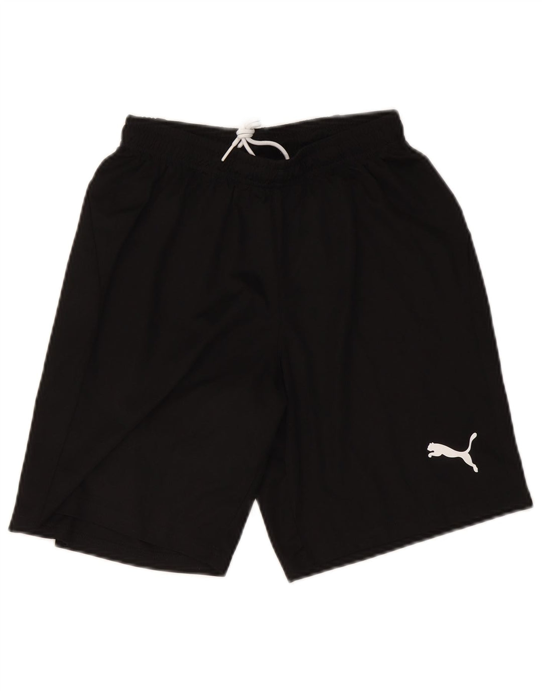 Puma Mens Sport Shorts Small Black
