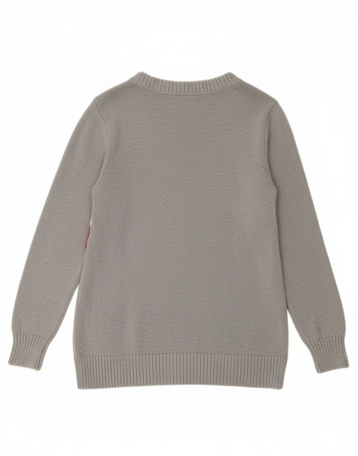 TOMMY HILFIGER Womens Crew Neck Jumper Sweater UK 14 Large Grey