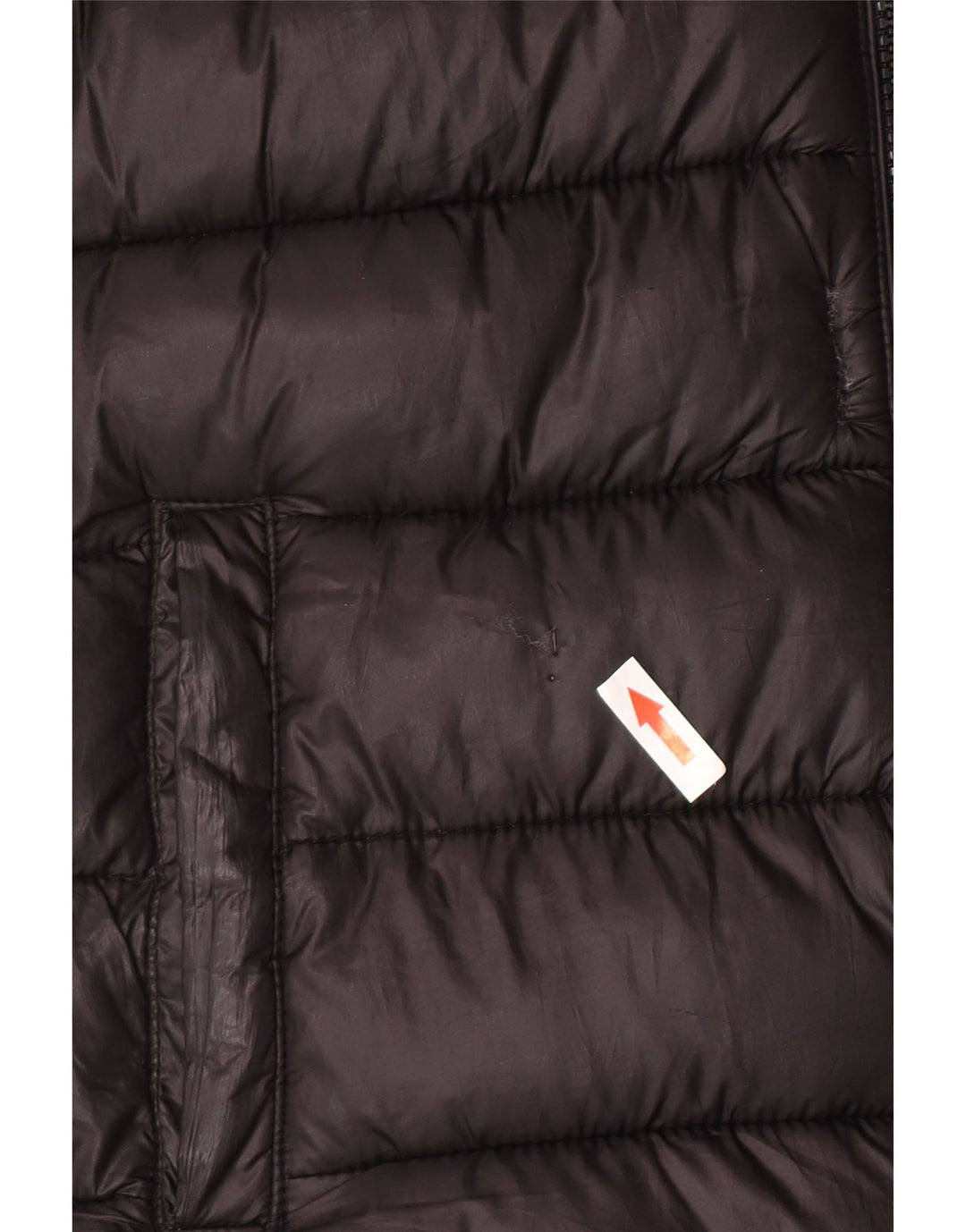 Champion Boys Hooded Padded Jacket 11-12 Years Black Polyester