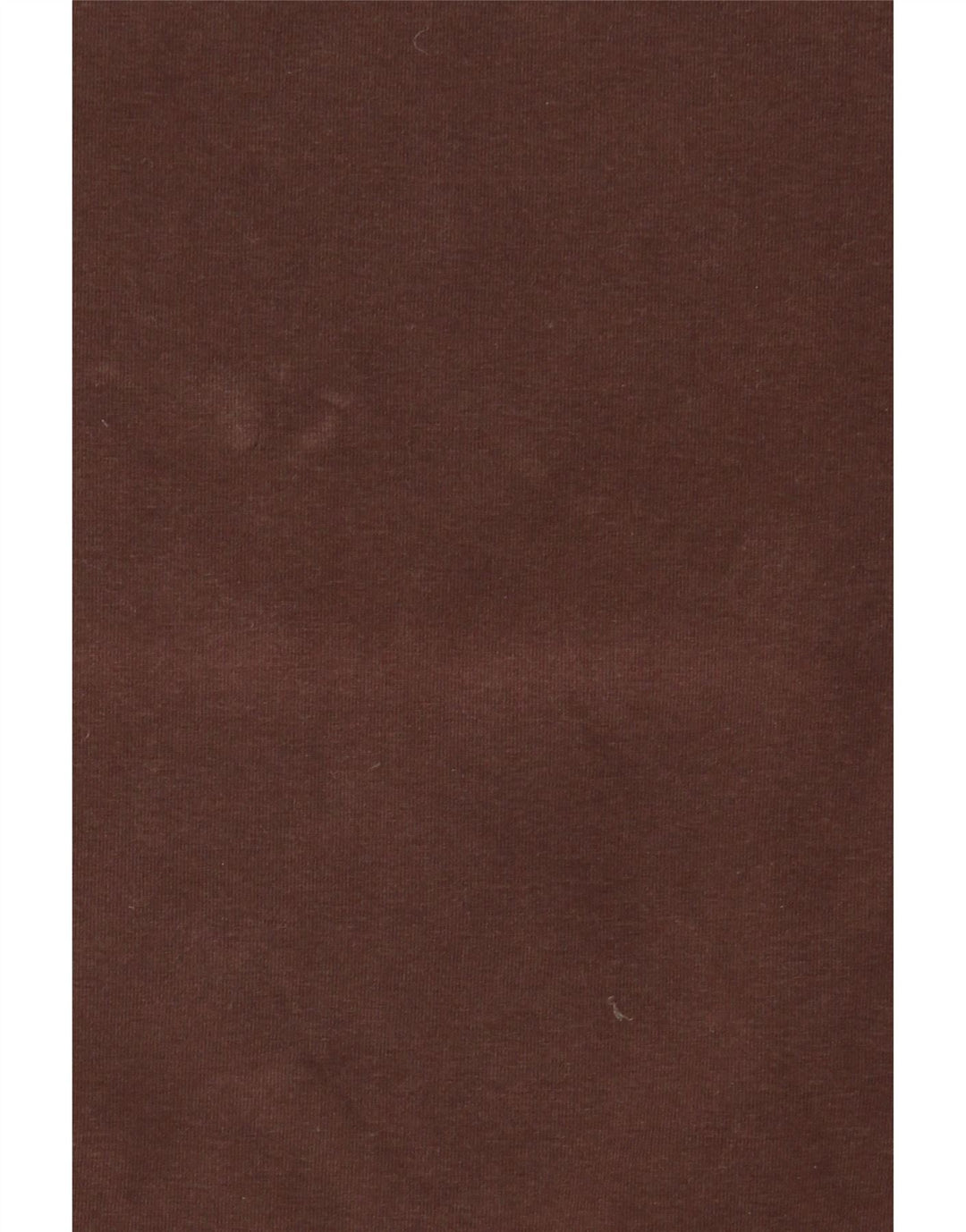 MASSIMO DUTTI Womens T-Shirt Top UK 14 Large Brown Cotton