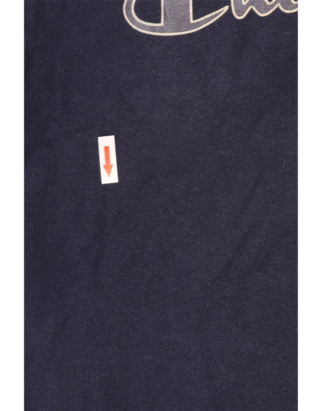 Champion Mens Graphic T-Shirt Top Medium Navy Blue Cotton