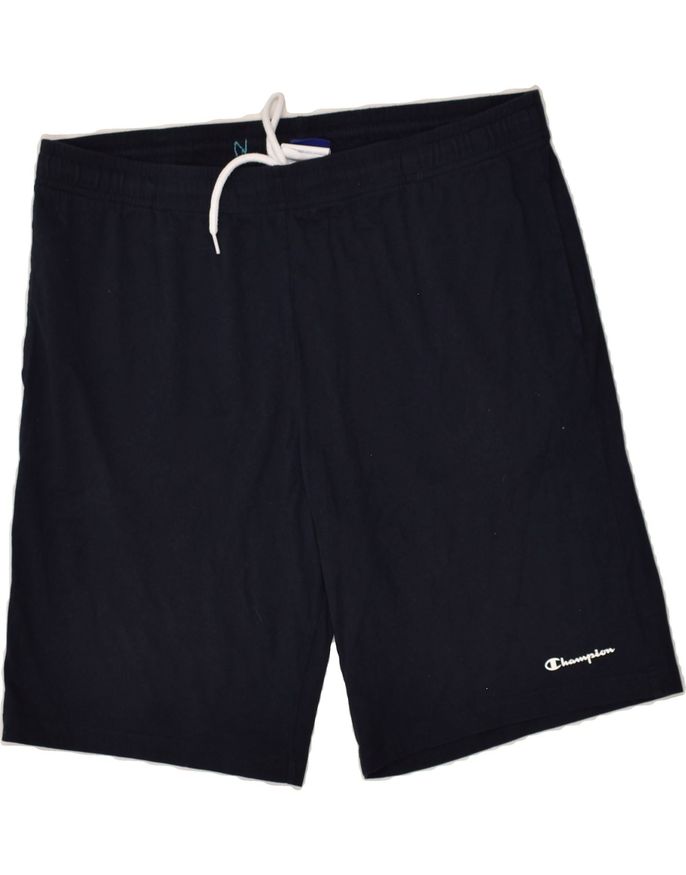 Champion shorts 2025 mens blue