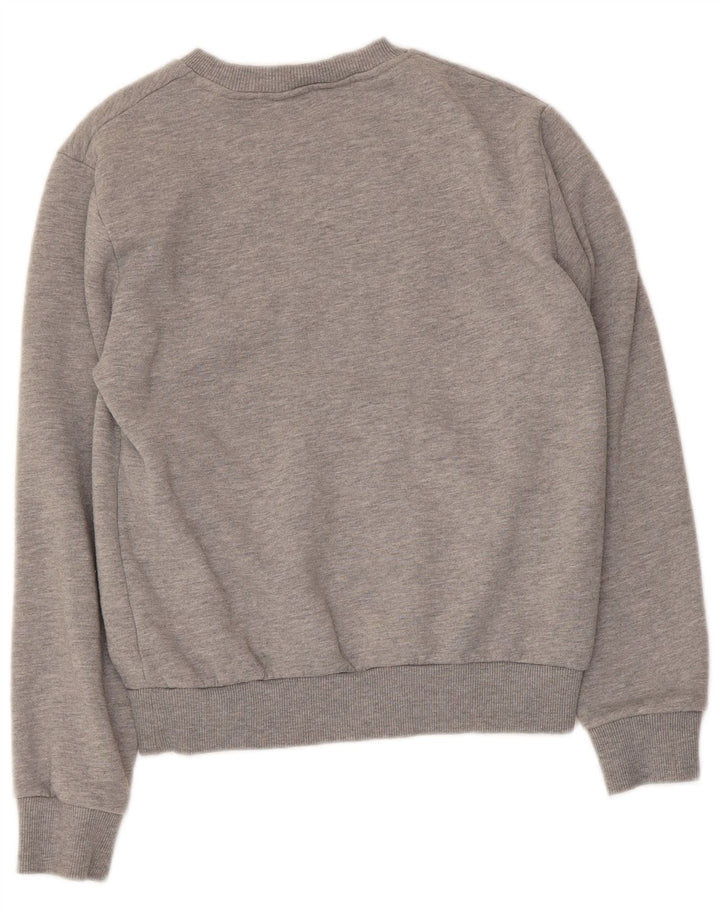 Penguin Mens Graphic Sweatshirt Jumper Small Grey Cotton