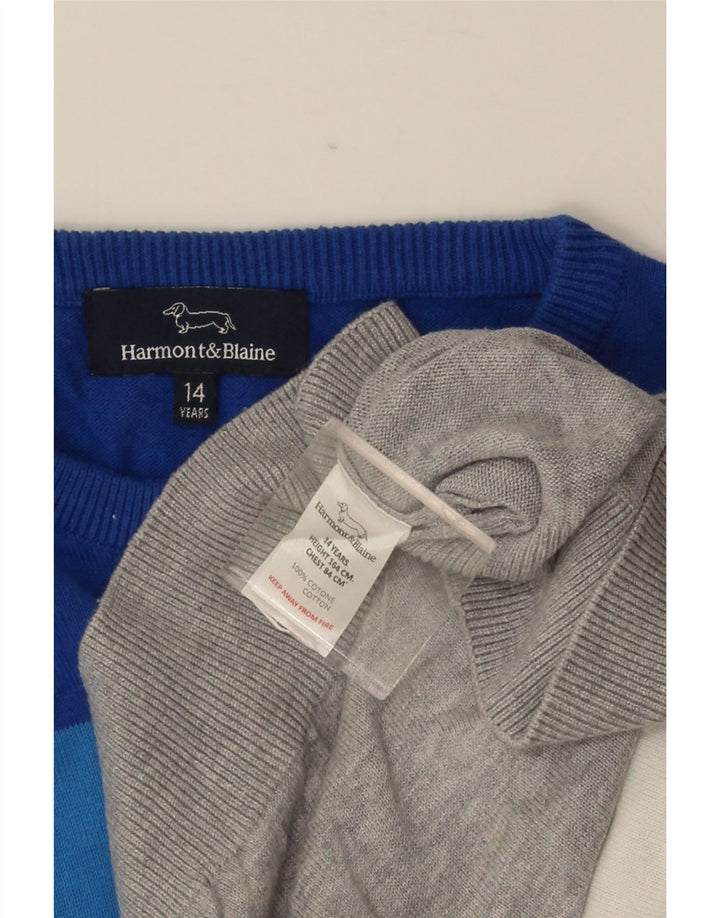 HARMONT & BLAINE Boys Crew Neck Jumper Sweater 13-14 Years Multicoloured