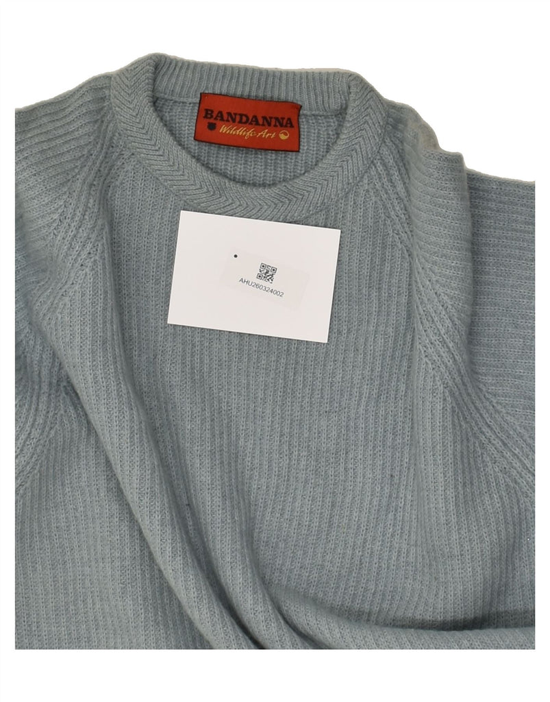 VINTAGE Mens Crew Neck Jumper Sweater Large Grey | Vintage Vintage | Thrift | Second-Hand Vintage | Used Clothing | Messina Hembry 