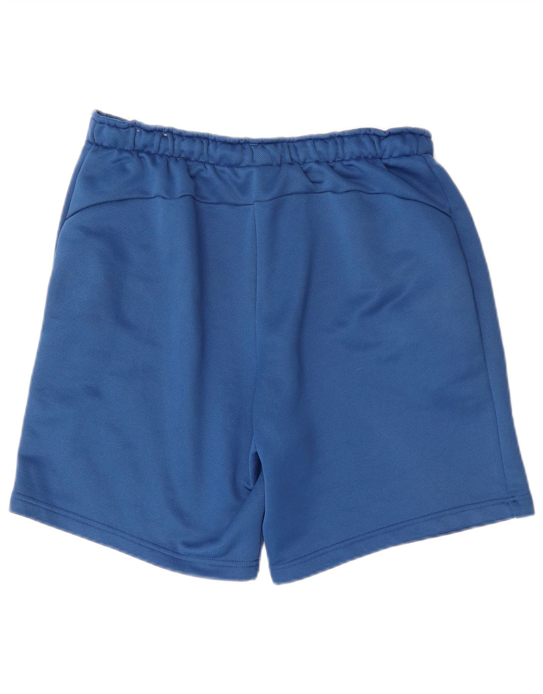 Puma Mens Graphic Sport Shorts Large Blue