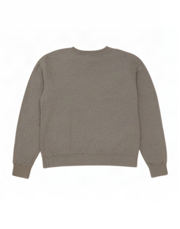 Champion Mens Graphic Sweatshirt Jumper Medium Grey Flecked