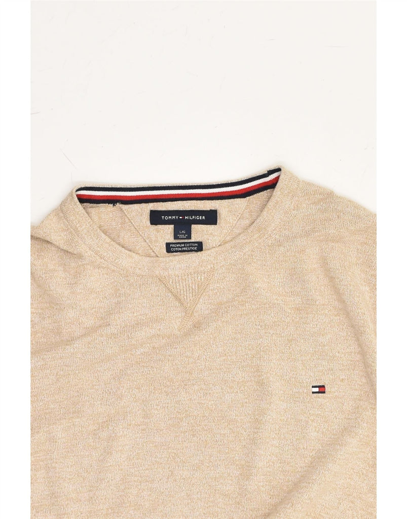 TOMMY HILFIGER Mens Boat Neck Jumper Sweater Large Beige Cotton | Vintage Tommy Hilfiger | Thrift | Second-Hand Tommy Hilfiger | Used Clothing | Messina Hembry 