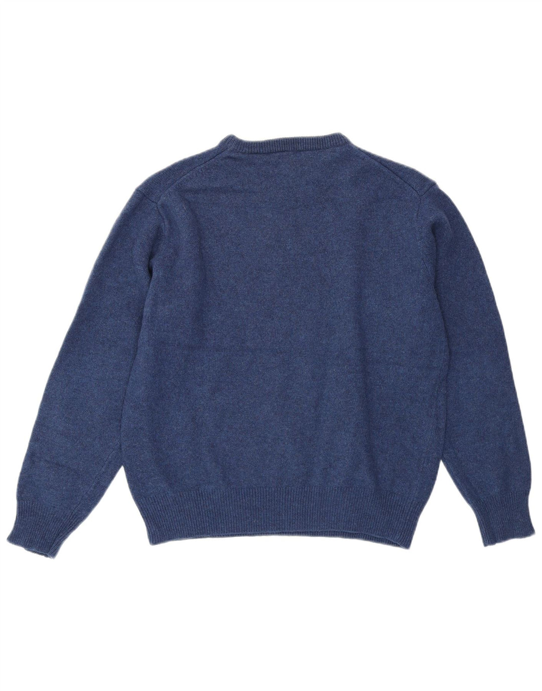 GANT Boys Crew Neck Jumper Sweater 12-13 Years Large Blue Lambswool