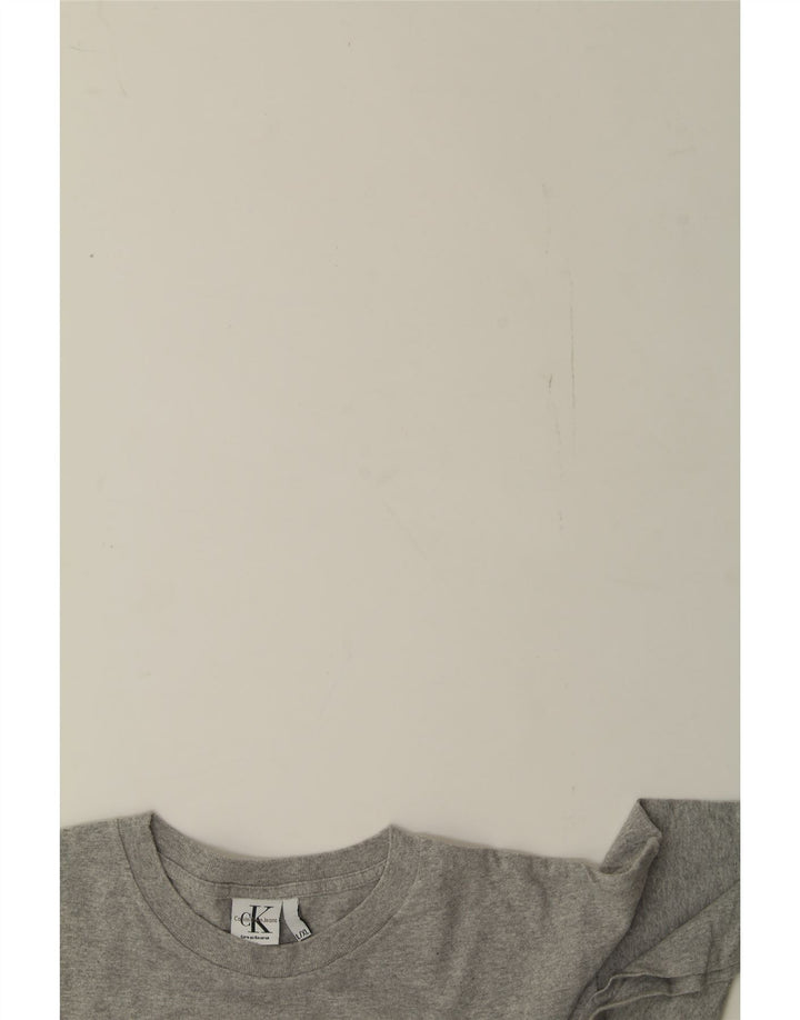 CALVIN KLEIN Mens Graphic T-Shirt Top XL Grey Cotton Vintage Calvin Klein and Second-Hand Calvin Klein from Messina Hembry 