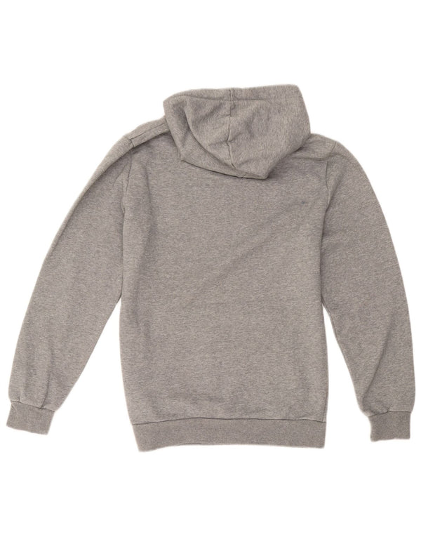 Puma Mens Graphic Hoodie Jumper Small Grey Cotton