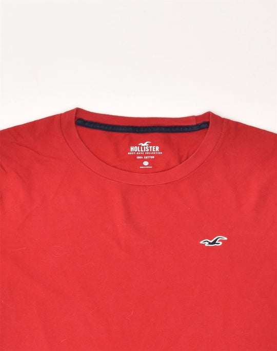 Hollister mens t clearance shirts