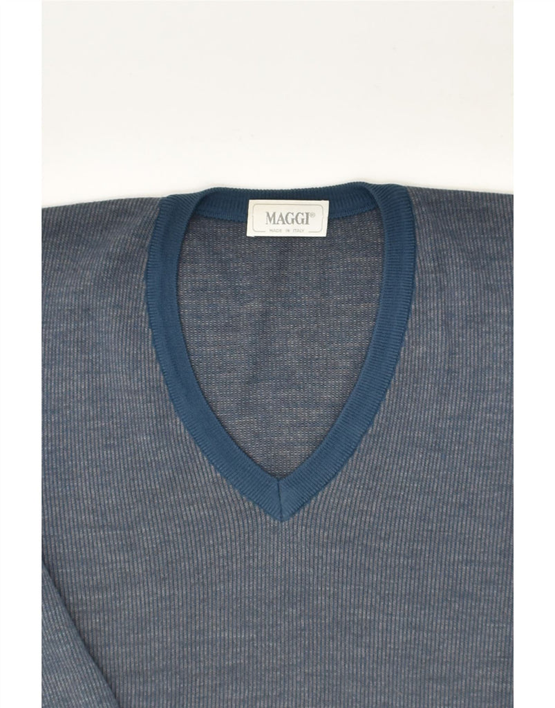 VINTAGE Mens V-Neck Jumper Sweater Size 5 Large Blue | Vintage Vintage | Thrift | Second-Hand Vintage | Used Clothing | Messina Hembry 