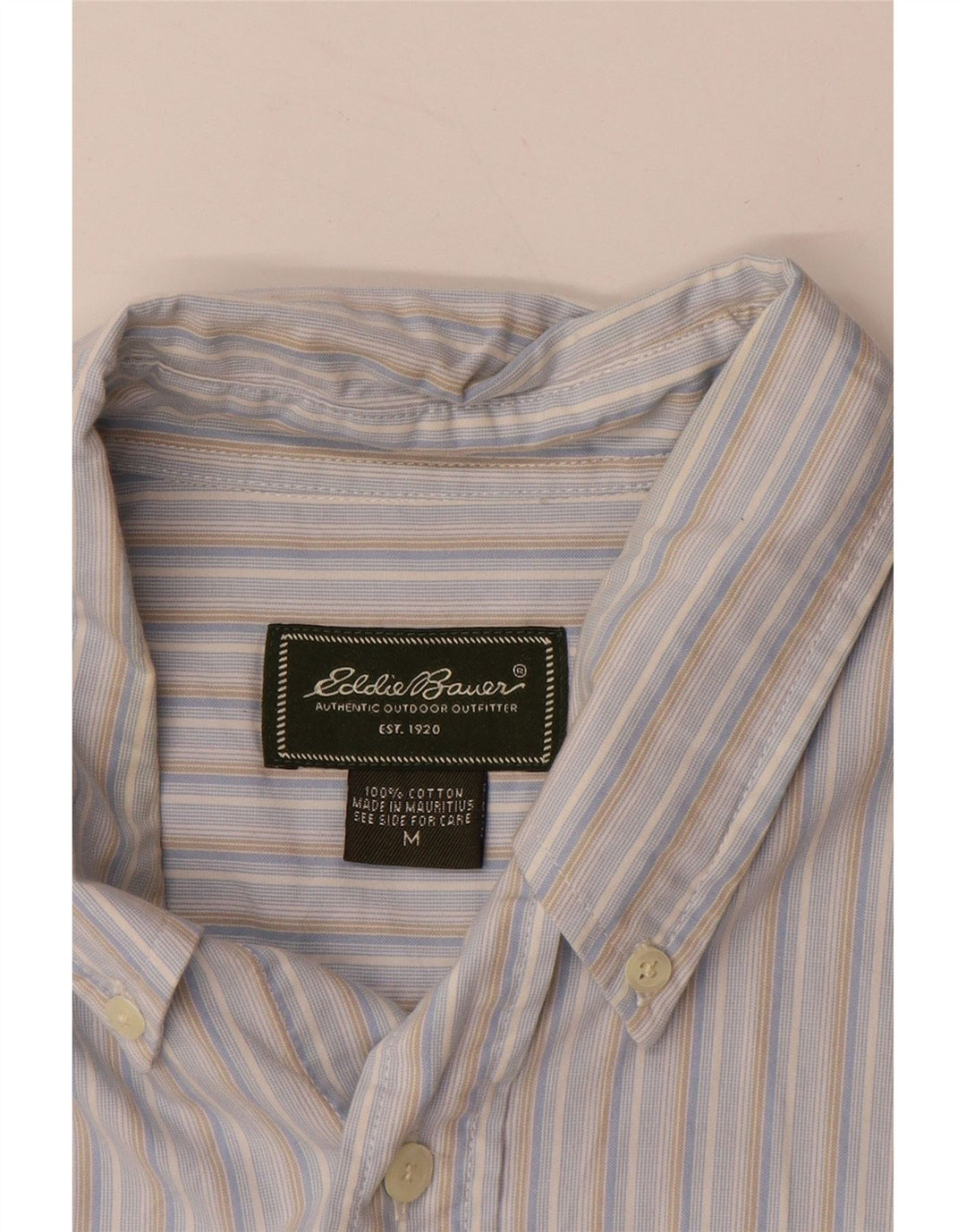 EDDIE BAUER Mens Shirt Medium Blue Striped Cotton