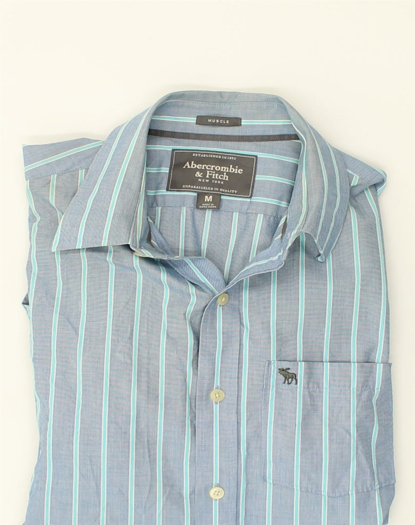 ABERCROMBIE & FITCH Mens Muscle Shirt Medium Blue Striped Cotton | Vintage Abercrombie & Fitch | Thrift | Second-Hand Abercrombie & Fitch | Used Clothing | Messina Hembry 