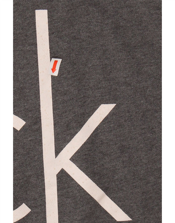 CALVIN KLEIN JEANS Womens 3/4 Sleeve Sweatshirt Jumper UK 14 Medium Grey