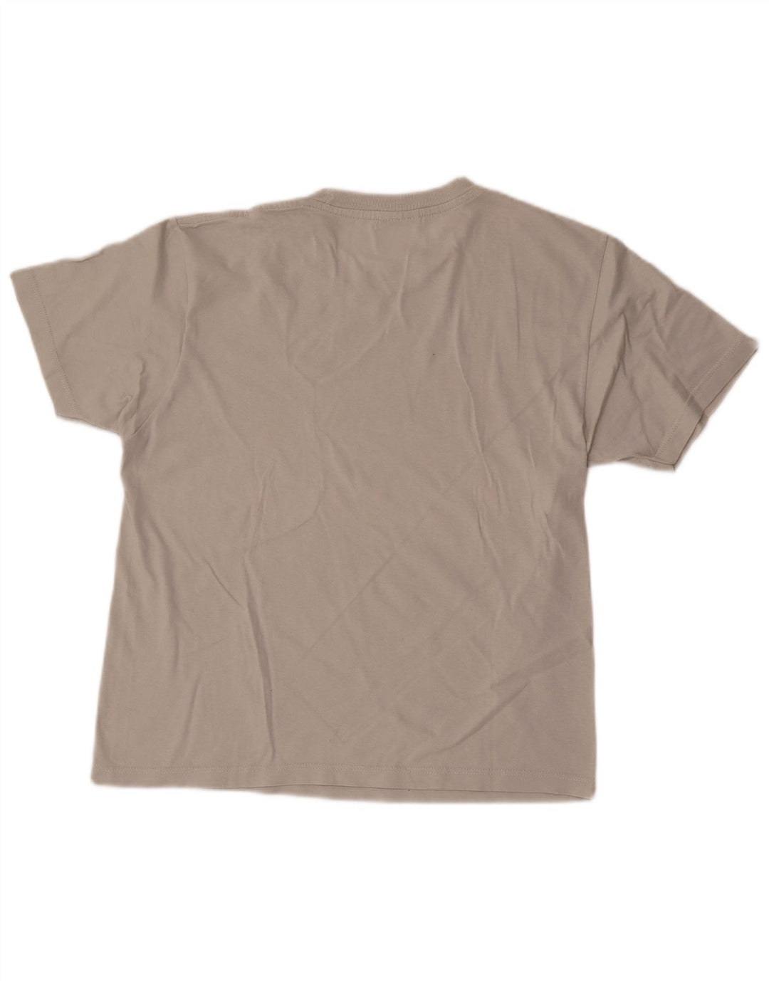 Champion Mens Graphic T-Shirt Top Small Grey