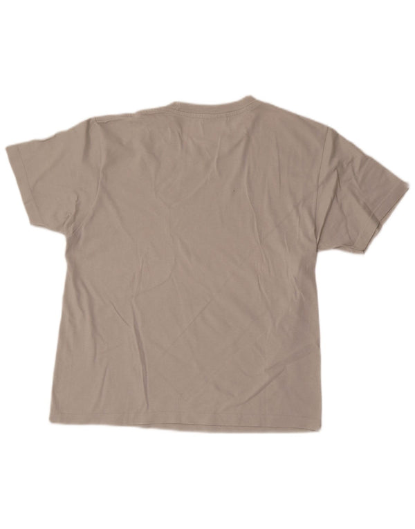 Champion Mens Graphic T-Shirt Top Small Grey