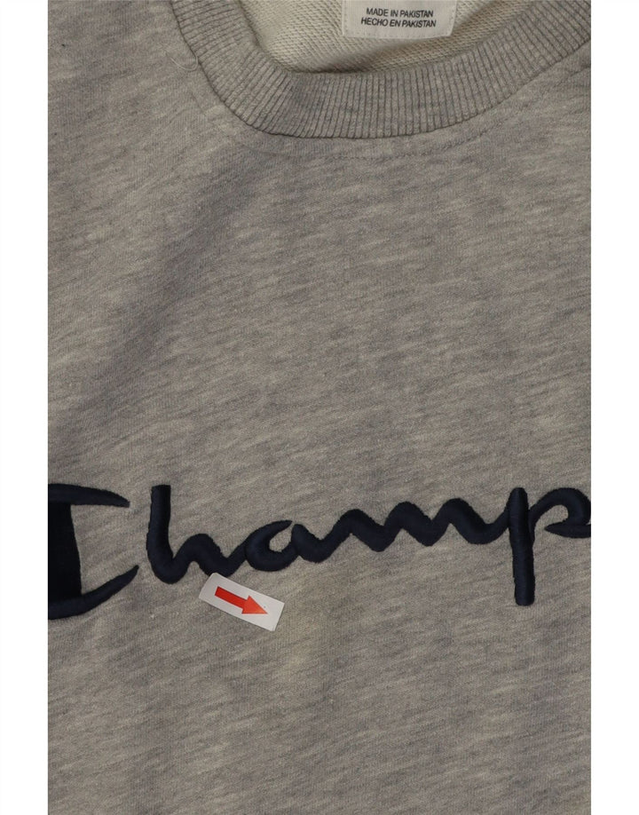 Champion Mens Graphic Sweatshirt Jumper 2XL Grey Flecked Cotton