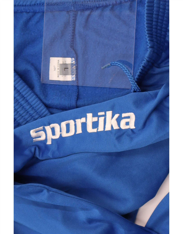 Vintage Mens Graphic Tracksuit Trousers Joggers Large Blue Polyester