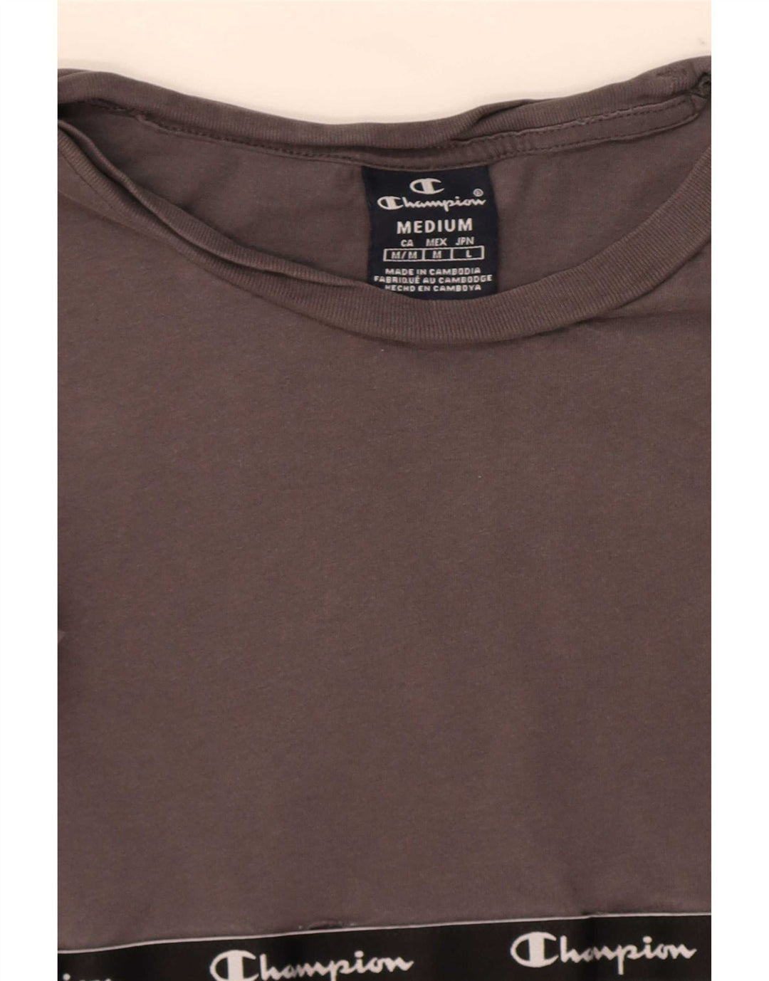 Champion Womens Graphic T-Shirt Top UK 14 Medium Grey Colourblock